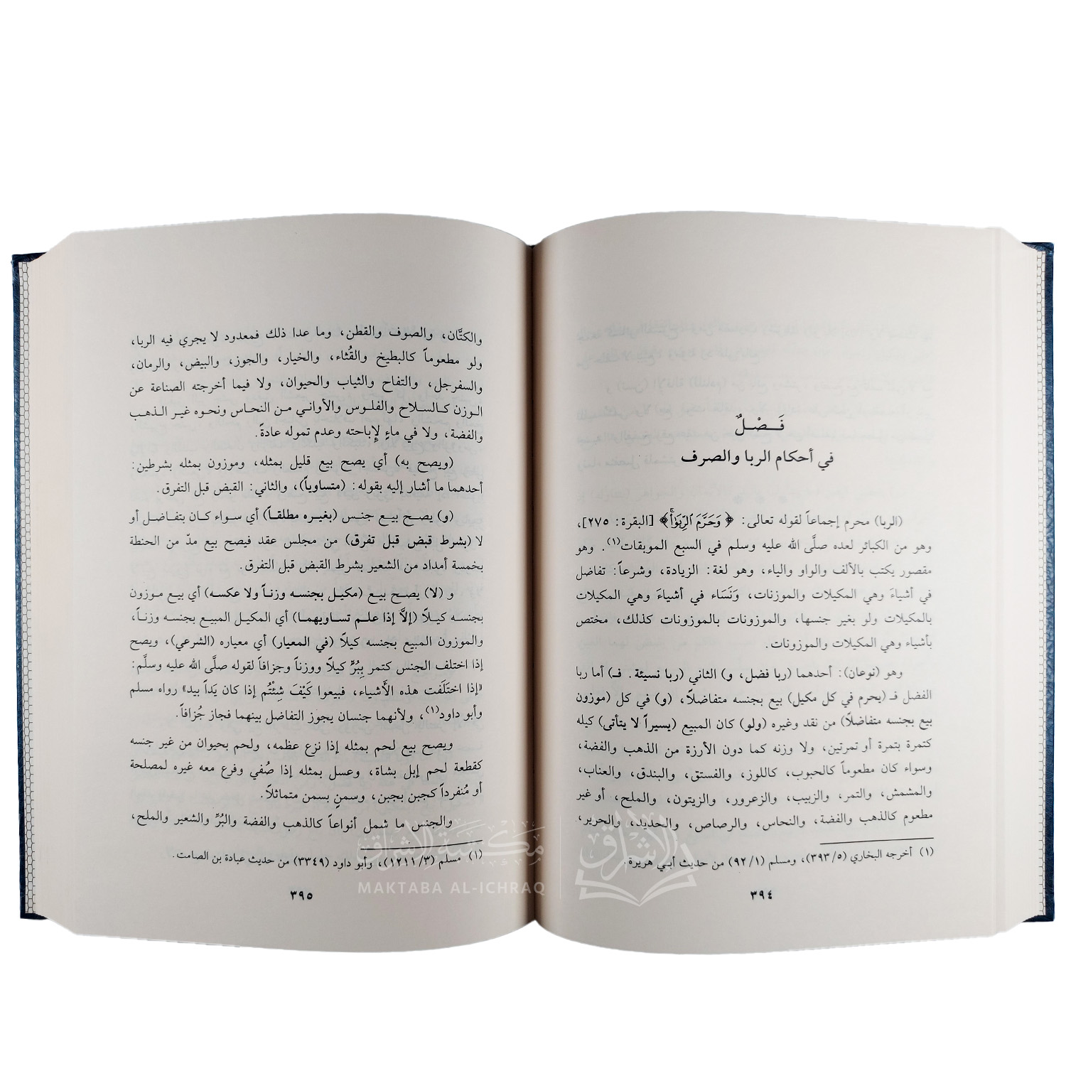 كشف المخدرات والرياض المزهرات لشرح أخصر المختصرات – Image 2