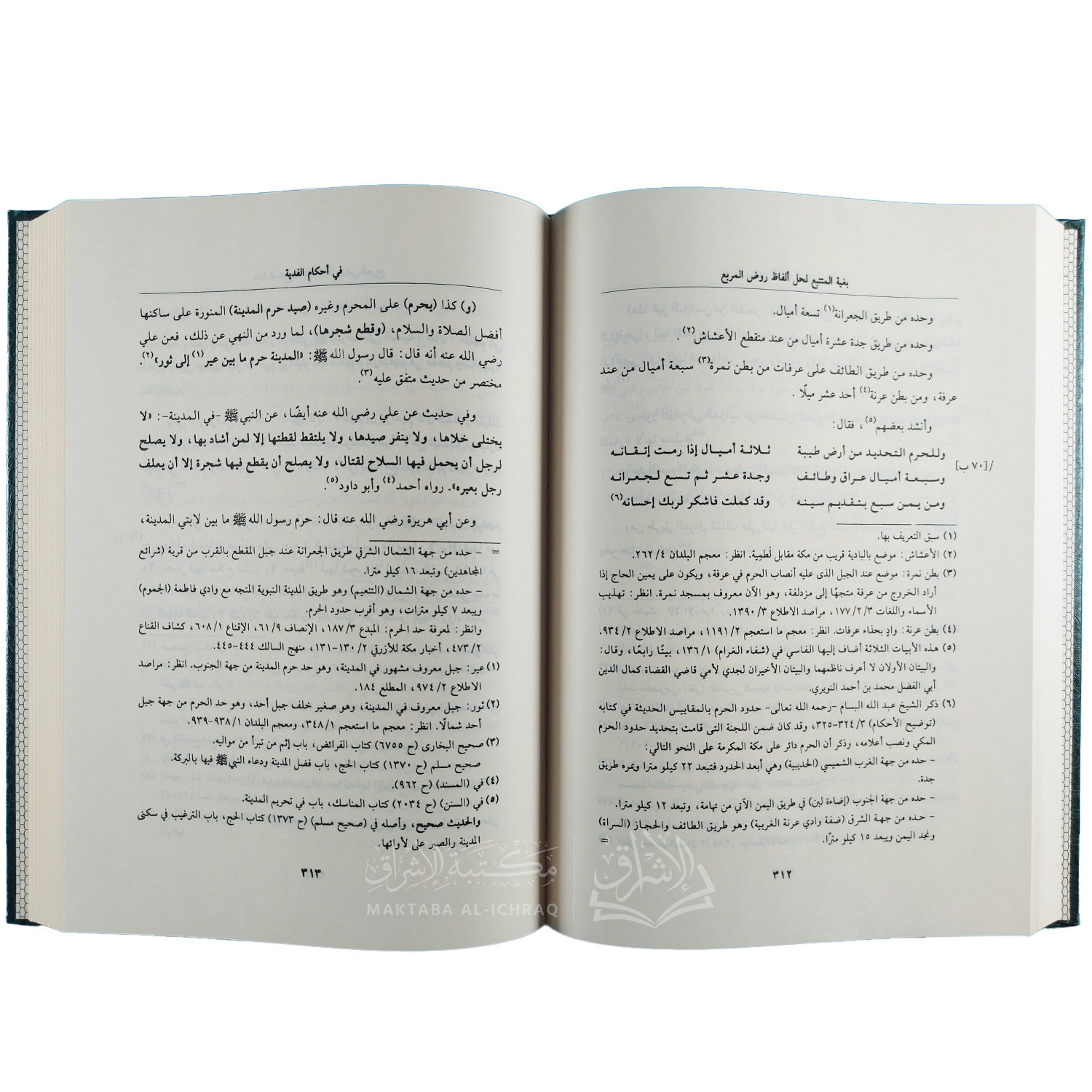 بغية المتتبع لحل ألفاظ روض المربع - الصورة 2