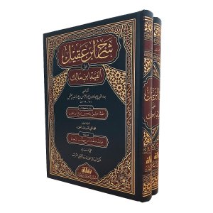 شرح ابن عقيل على ألفية ابن مالك