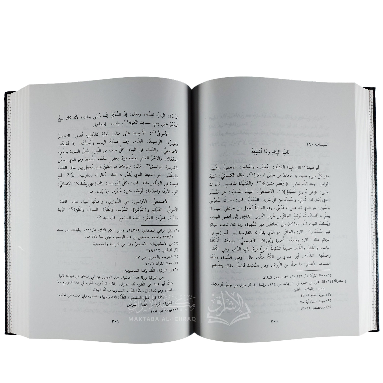 الغريب المصنف – Image 3