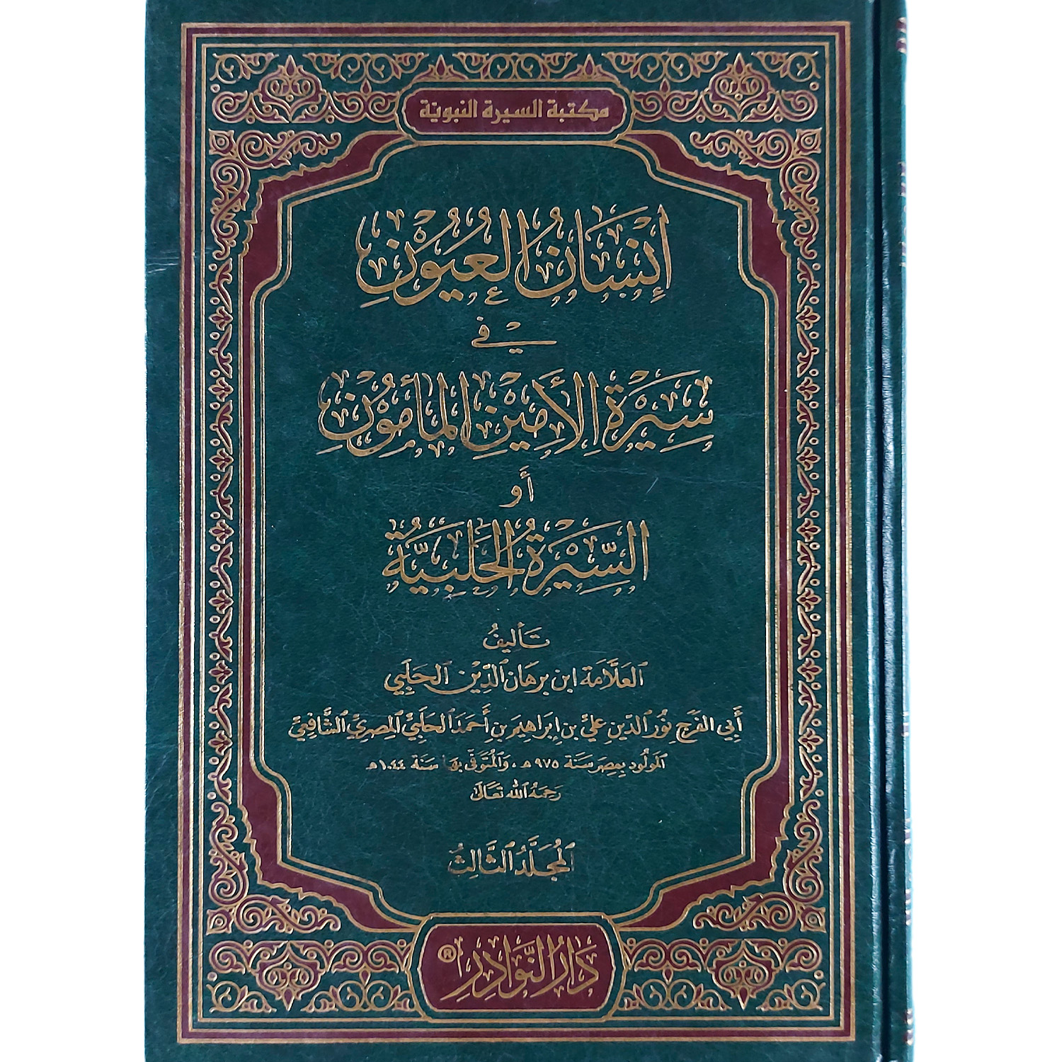 إنسان العيون في السيرة لأمين المأمون - الصورة 2