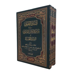 إنسان العيون في السيرة لأمين المأمون