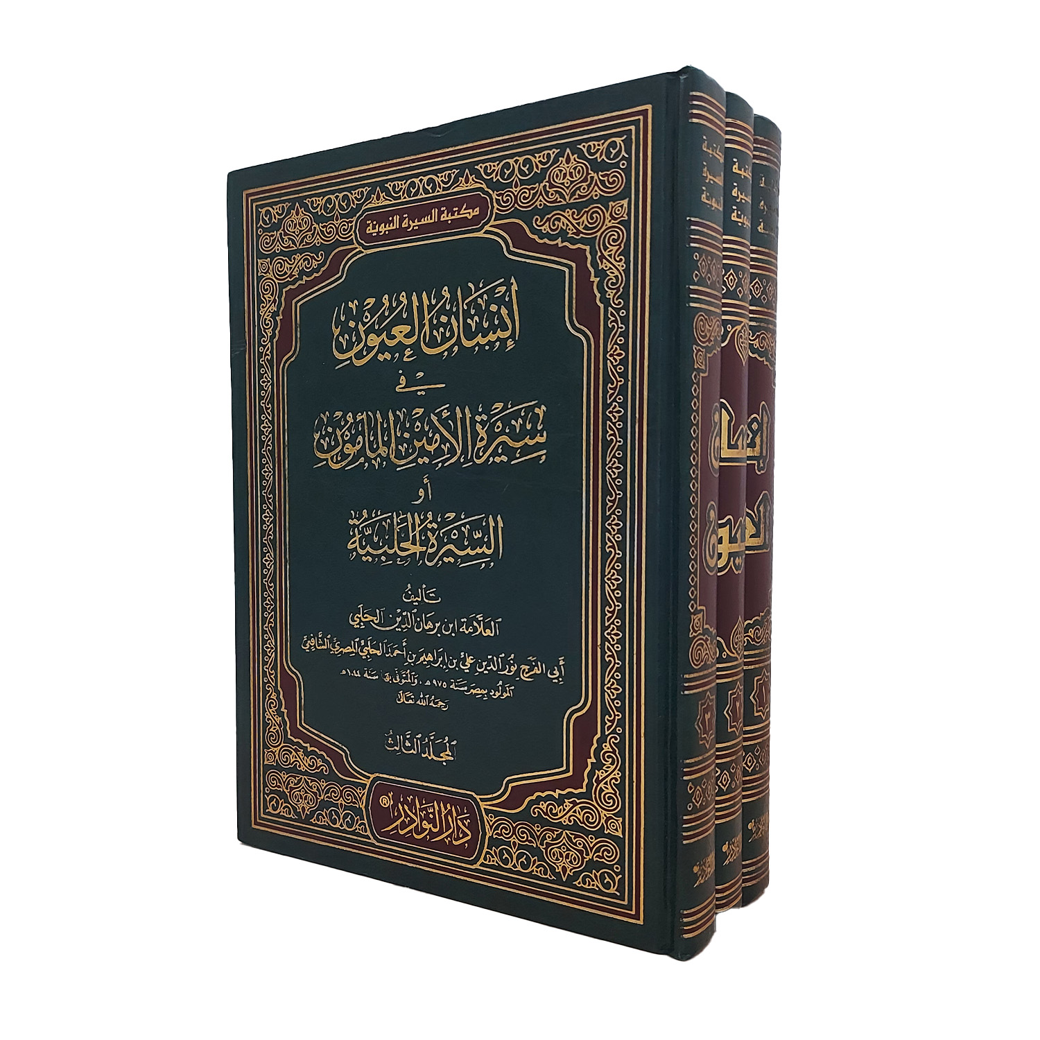 إنسان العيون في السيرة لأمين المأمون