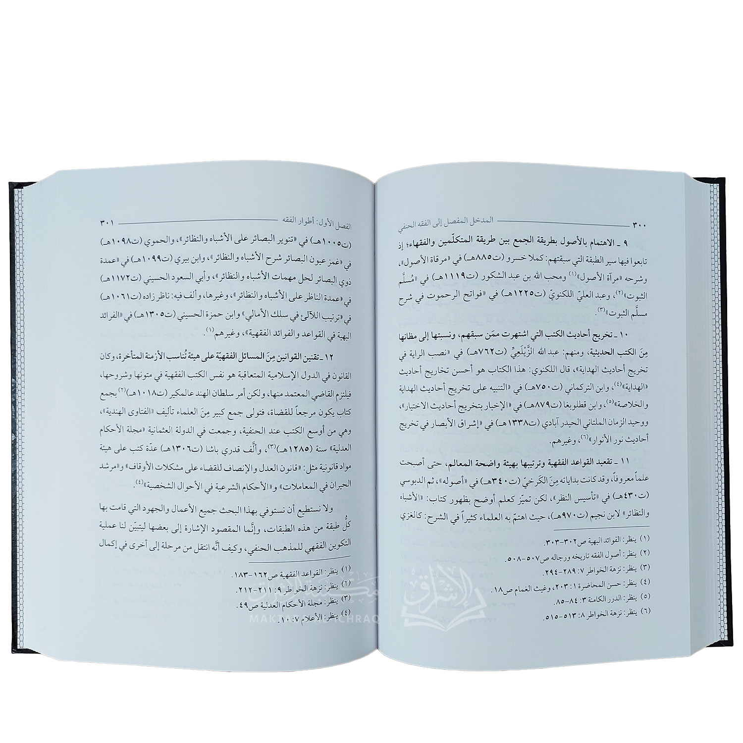 المدخل المفصل إلى الفقه الحنفي - الصورة 2