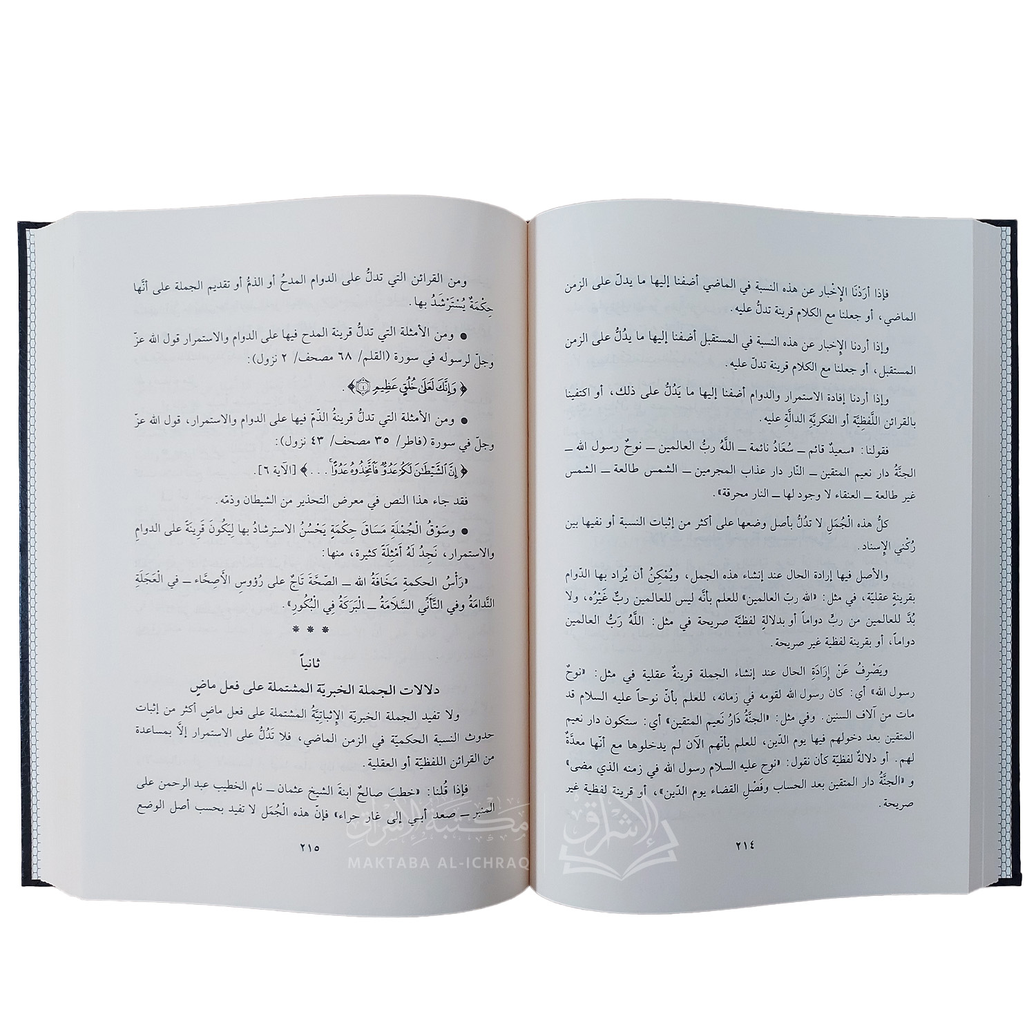 البلاغة العربية : أسسها، علومها، فنونها - الصورة 2