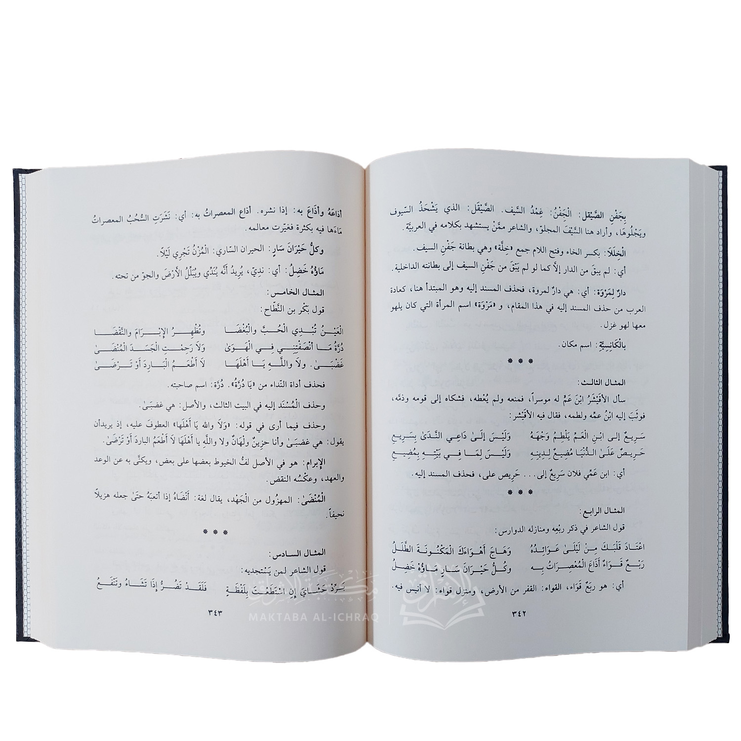 البلاغة العربية : أسسها، علومها، فنونها - الصورة 3