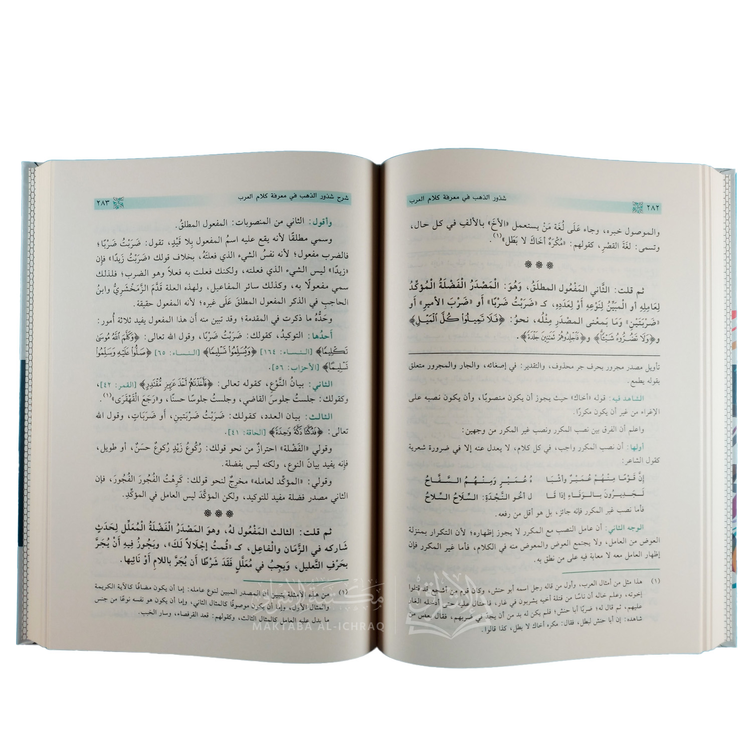 شرح شذور الذهب في معرفة كلام العرب – Image 3