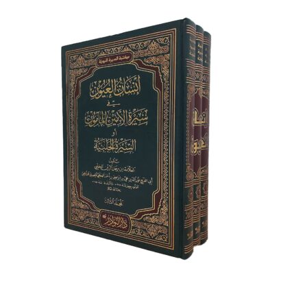 إنسان العيون في السيرة لأمين المأمون