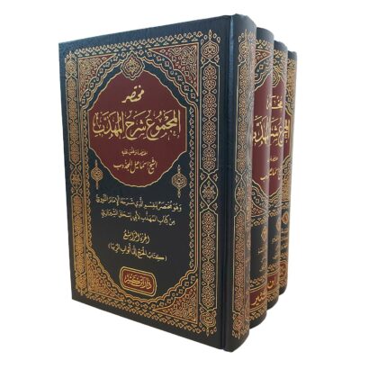 مختصر المجموع شرح المهذب